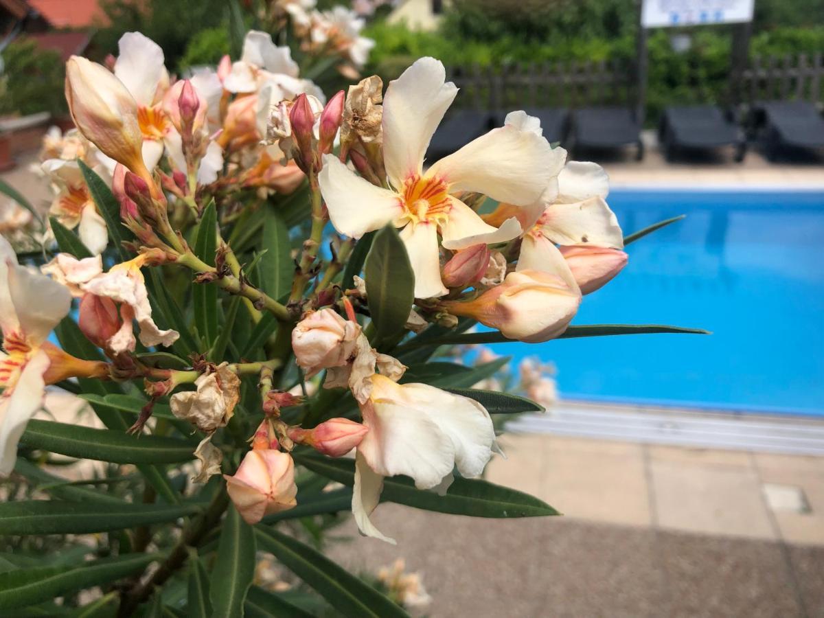 Haus Marika Hotel ชิโอฟก ภายนอก รูปภาพ